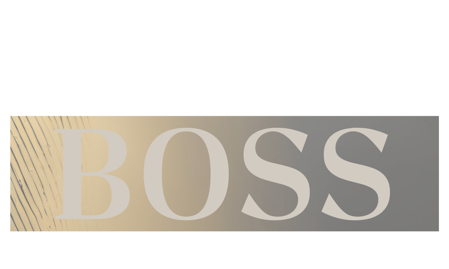 VIP BOSS MAGAZINE
